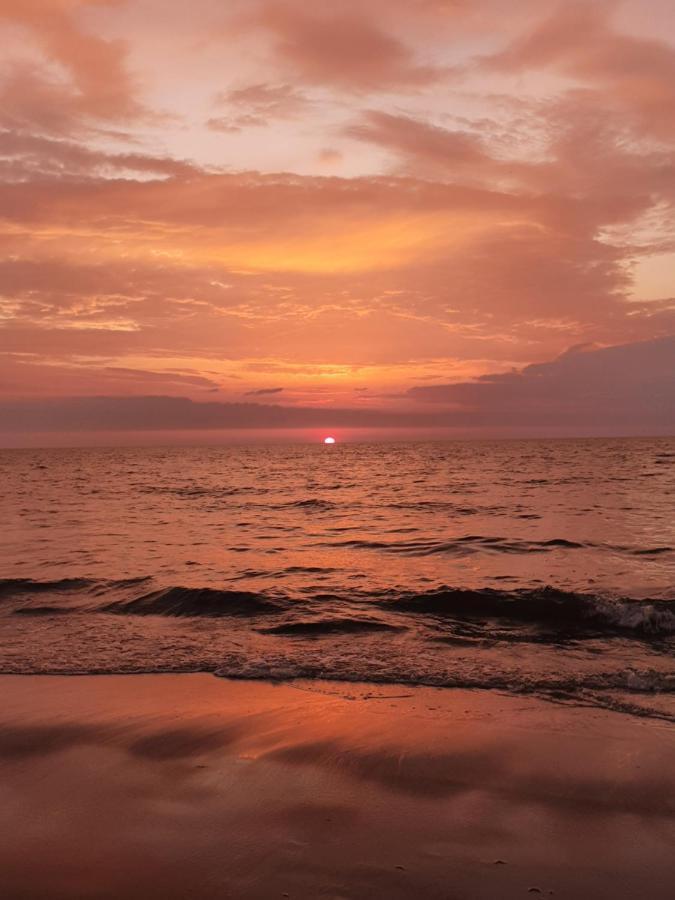 Domki U Eryka Miedzywodzie Esterno foto