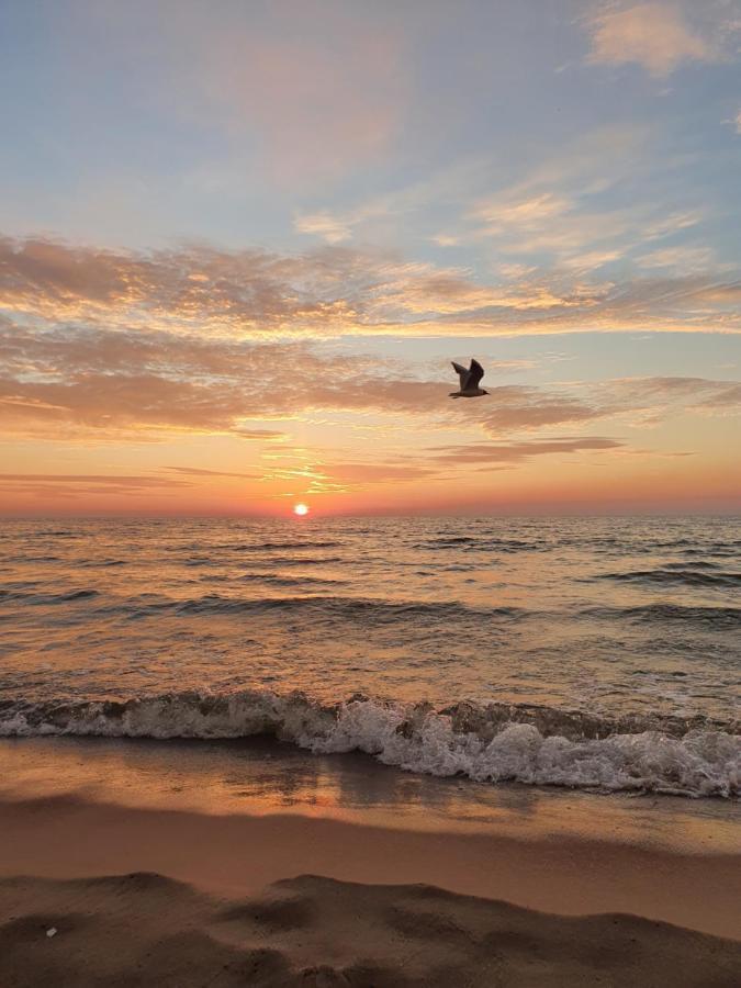 Domki U Eryka Miedzywodzie Esterno foto